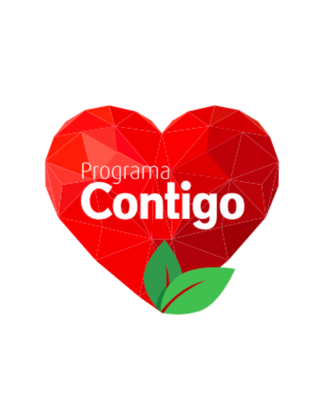 diseño sin título (30)